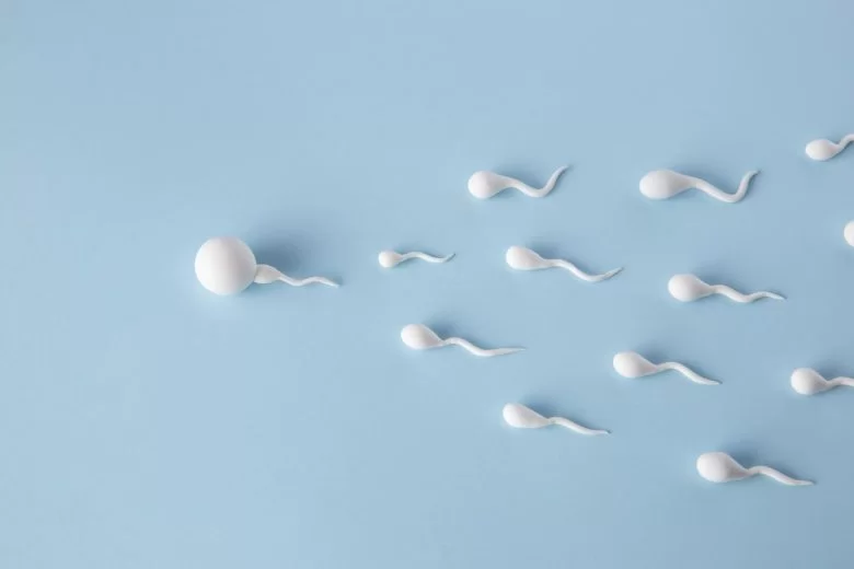 Augmenter le nombre de spermatozoïdes : déverrouiller les secrets de la nature pour une fertilité optimale