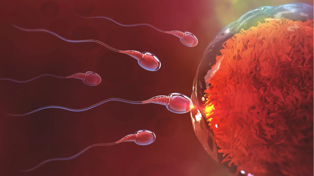 Démystifier la fertilité des hommes: Comprendre les facteurs qui affectent la santé reproductive des hommes